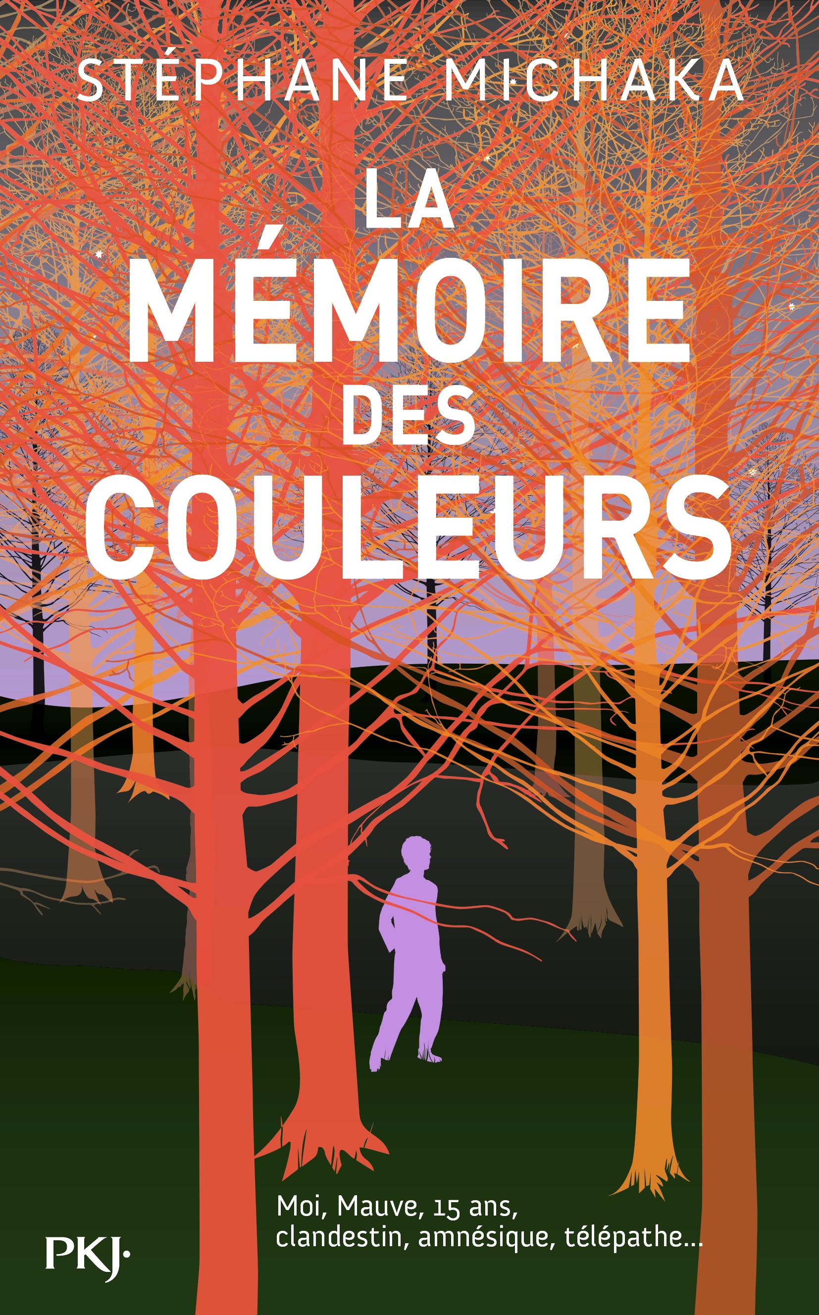 Couv_La mémoire des couleurs_Stéphane Michaka